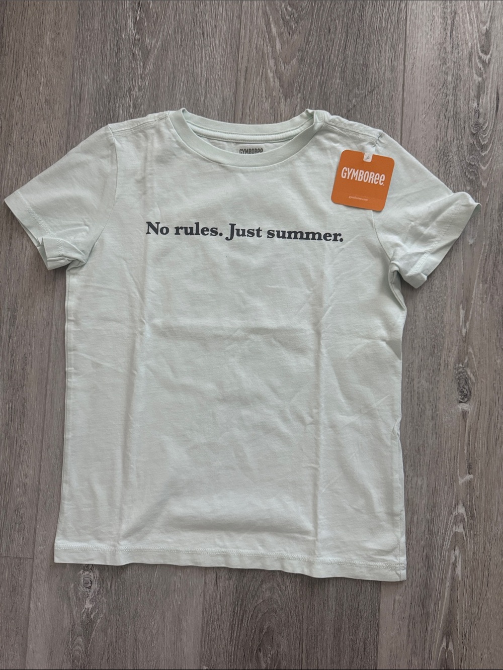 NWT Gymboree Mint Green Crew Neck Tee - “No rules. Just Summer.” Size Small